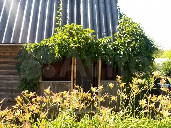 Дача 24 м² на участке 8 сот.