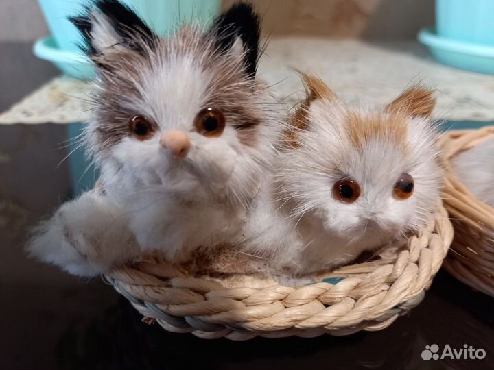 Сувинирные котята