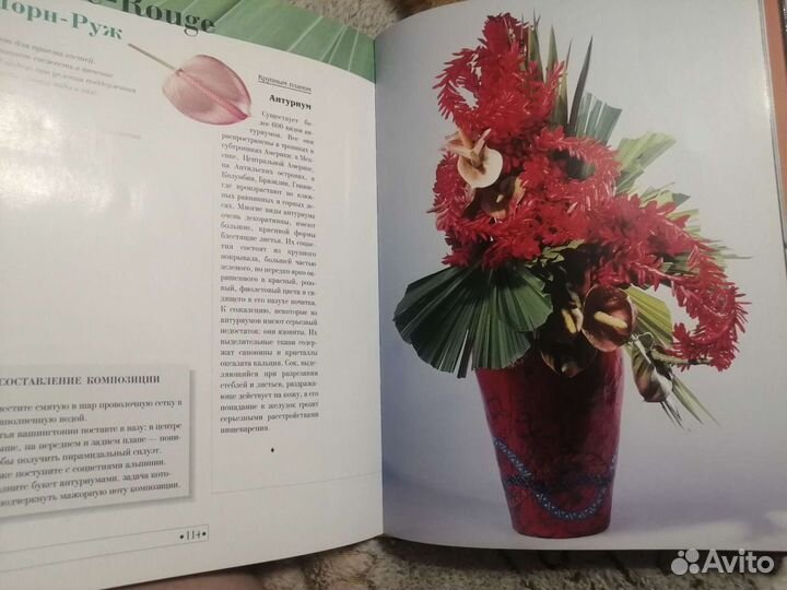 Книги по флористике