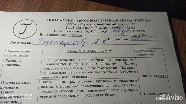 Пиявки медицинские крупные