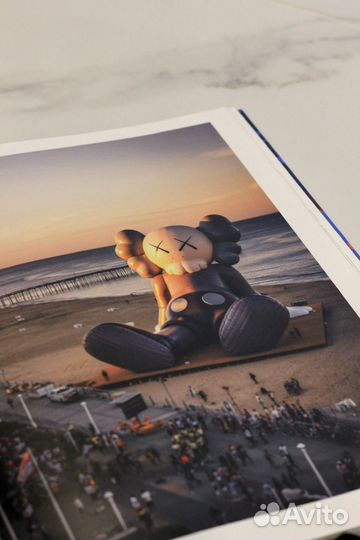 Книга kaws оригинал