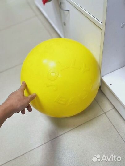 Игрушка для собак Мяч Jolly