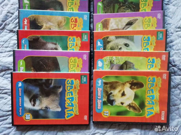 DVD о животных Твои весёлые друзья зверята