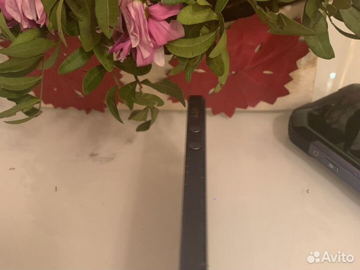 iPhone 5