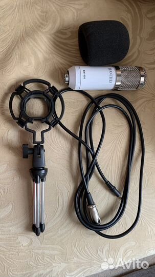 Студийный конденсаторный микрофон Branches BM800