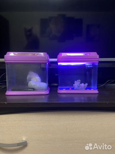 Аквариум