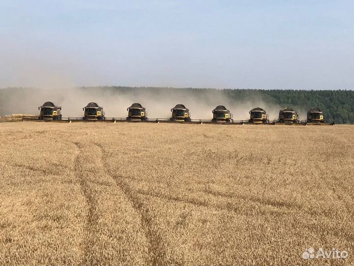 Уборка урожая