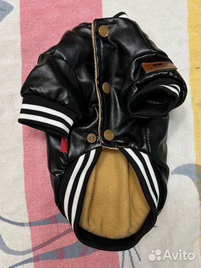 Одежда для собак