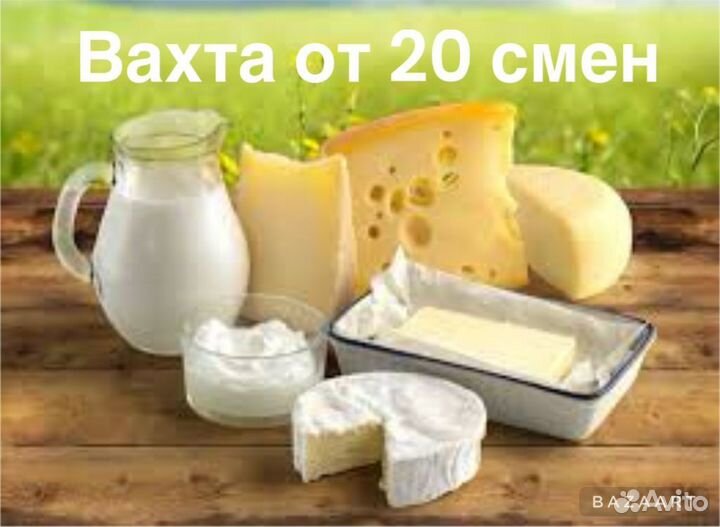 Молочная вахта 20 смен/ комплектовщик еда+жилье