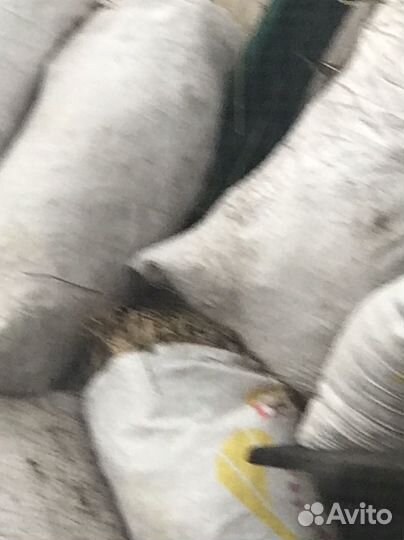 Сено a мешках