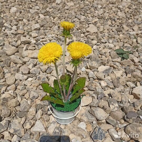 Одуванчики интерьерная композиция, холодный фарфор