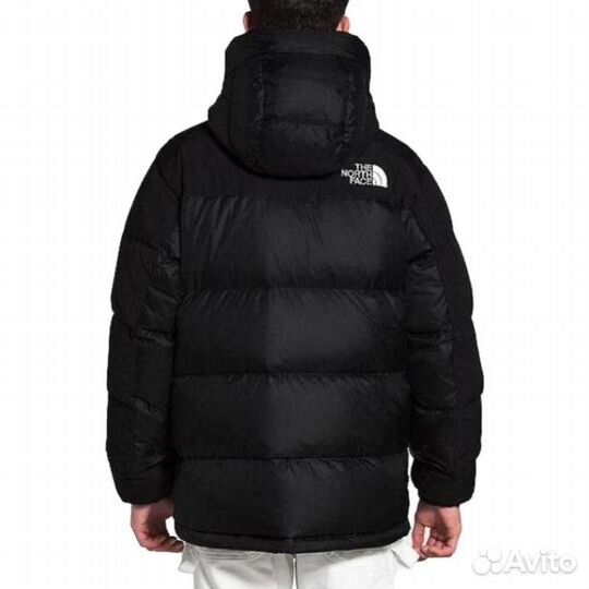 THE north face Down Jacket Men Black (M)(68)