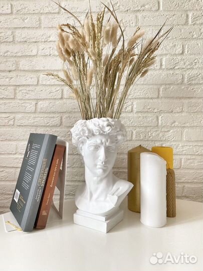 Гипсовое кашпо Давид