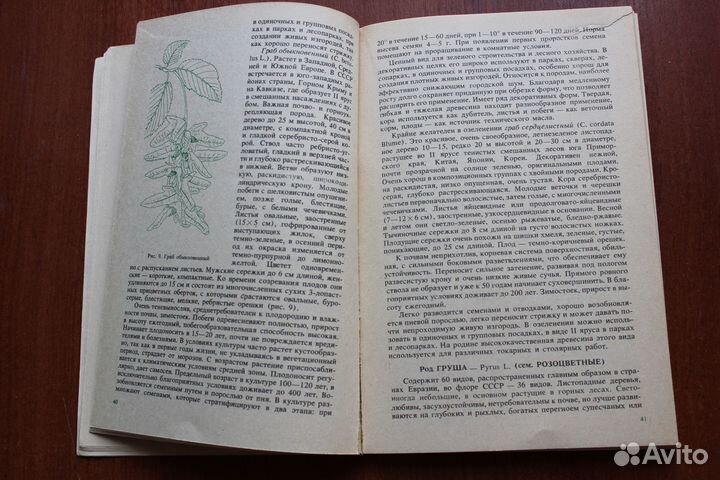 Деревья и кустарники для любительского садоводства