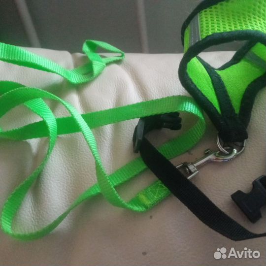 Шлейка для маленькой собаки, с поводком