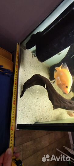 Аквариум Биодизайн Атолл 400