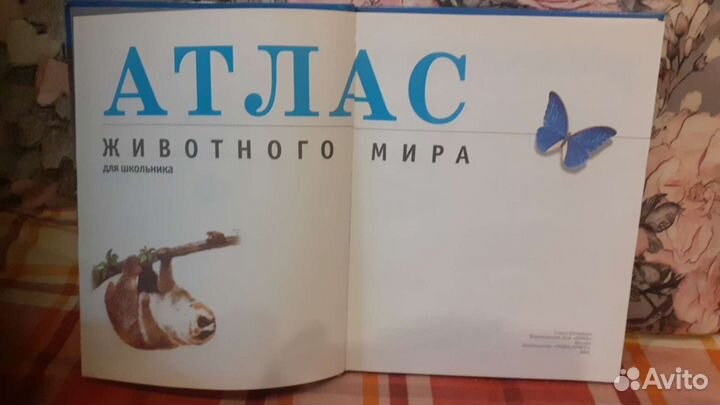 Книга Атлас животного мира