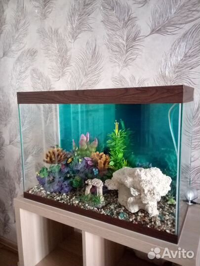 Аквариум 100 литров