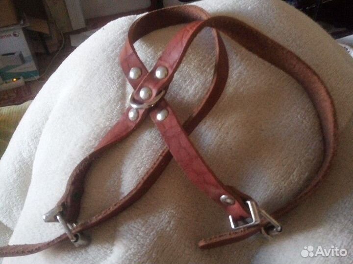 Собаке. кожа