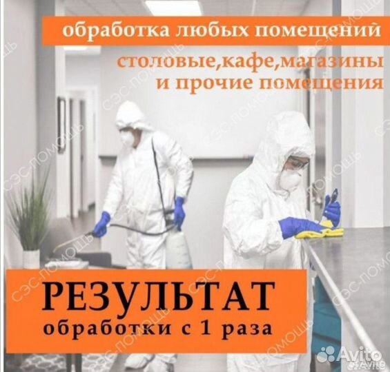 Уничтожение тараканов клопов короедов мышей запаха