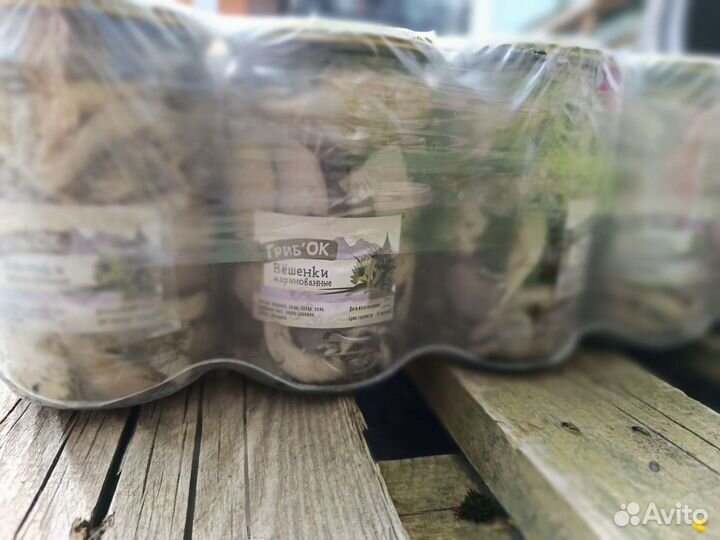 Грибы маринованные вешенки шампиньоны опята