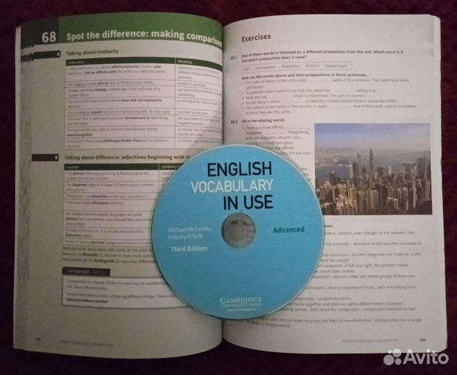 English Vocabulary in Use: advanced