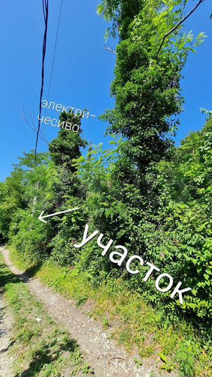 Участок 11 сот. (СНТ, ДНП)