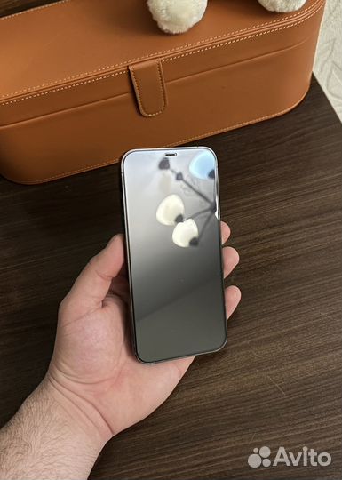 iPhone 12 Pro Max, 256 ГБ