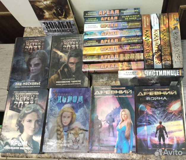 Метро 2033, Острогин, Мичурин