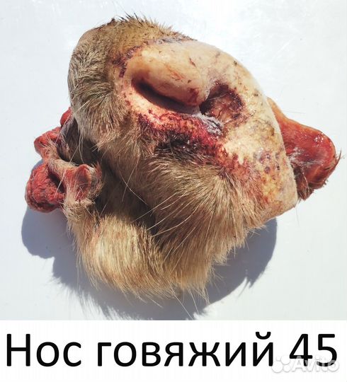 Натуральный корм для собак. Говядина. Доставка