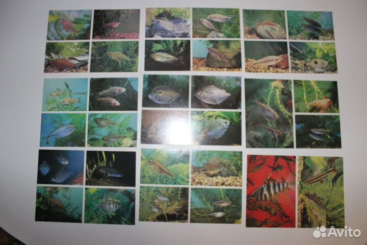 Открытки советские СССР