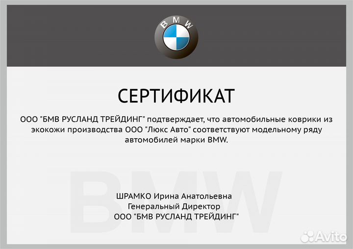 3D Коврики BMW X5 из Экокожи