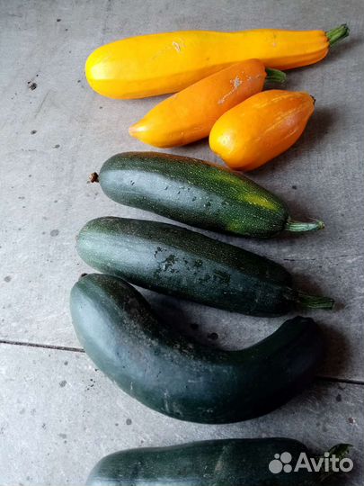 Кабачки, хрен