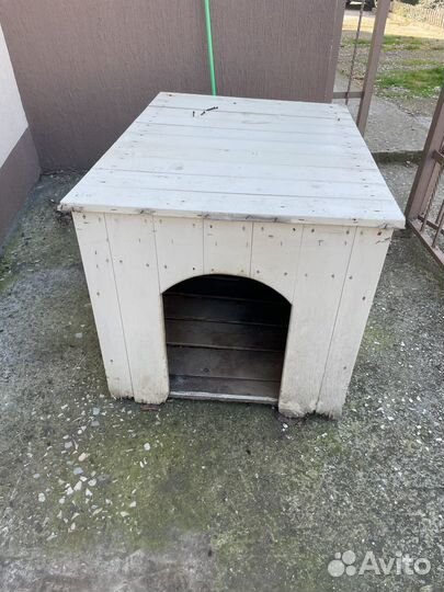 Собачья будка