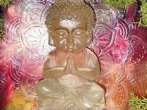3D картина Будда и мох стабилизированный