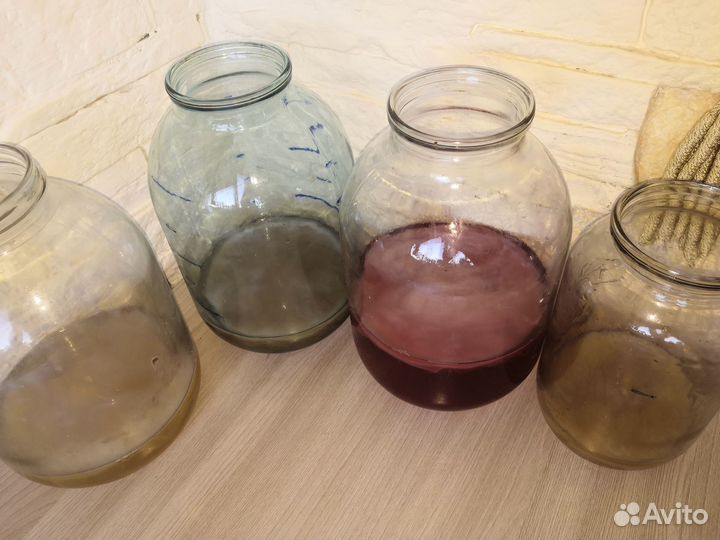 Чайный гриб комбуча для здоровья