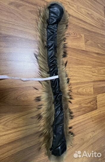 Воротник,опушка, Енот