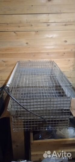 Клетки для перепелов бу 2штуки