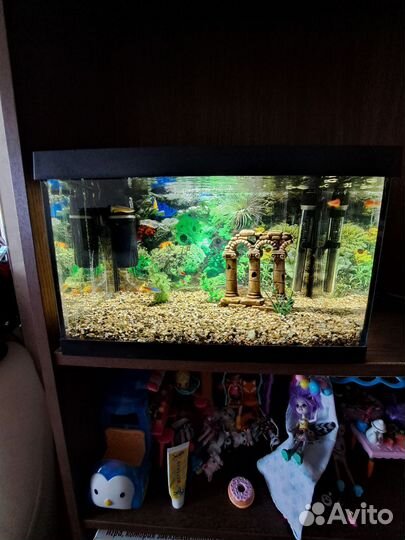 Аквариум 25 литров