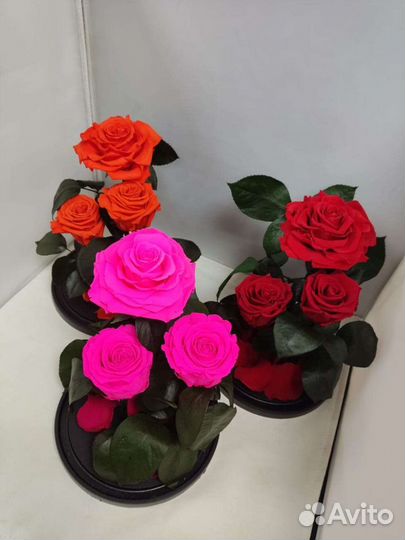 Роза в колбе оптом и в розницу