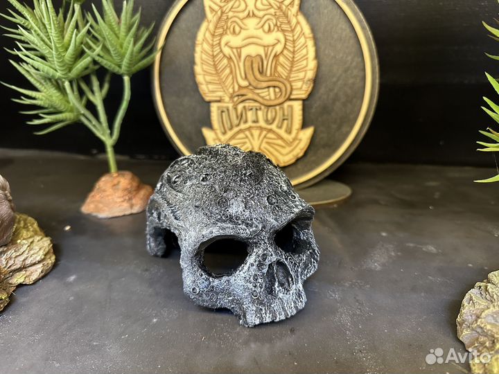 Укрытие для рептилий