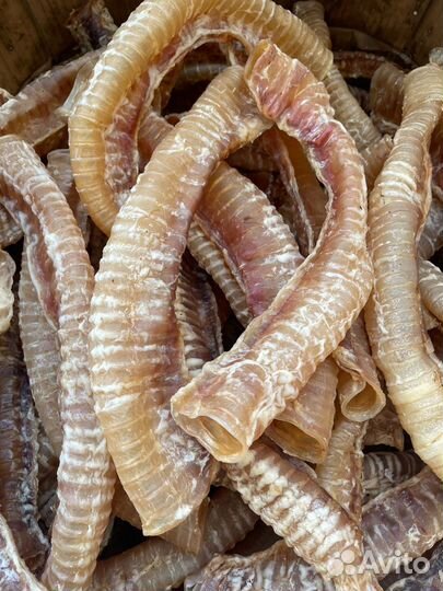 Сухие лакомства для собак