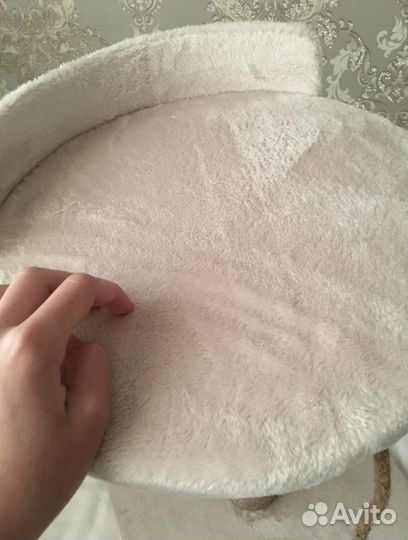 Новая когтеточка для кошек и собак, лежанка