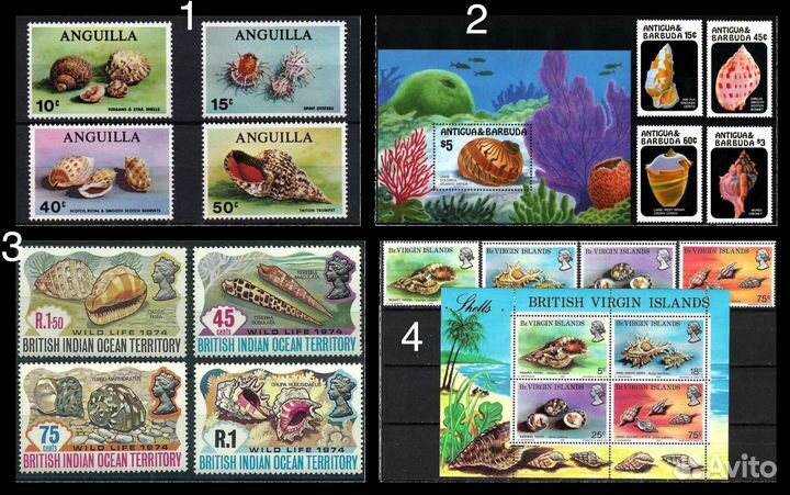 Марки по теме морская фауна раковины, моллюски 1