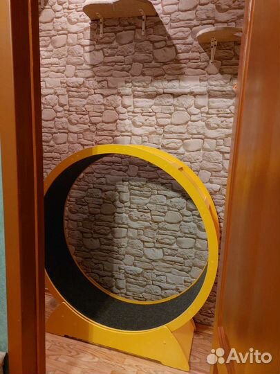 Беговое колесо для кошек и маленьких собачек