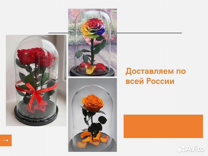 Розы в колбе разные