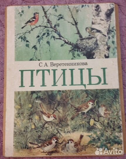 Картины птицы-учебно-наглядное пособие для детей