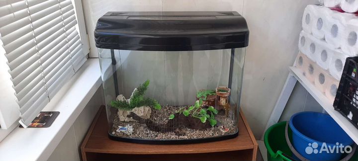 Аквариум