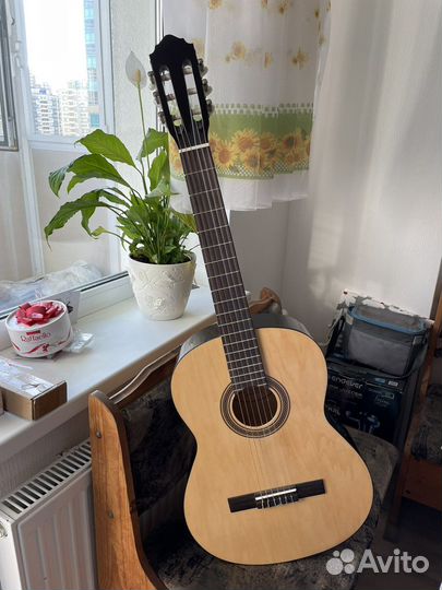 Гитара и чехол