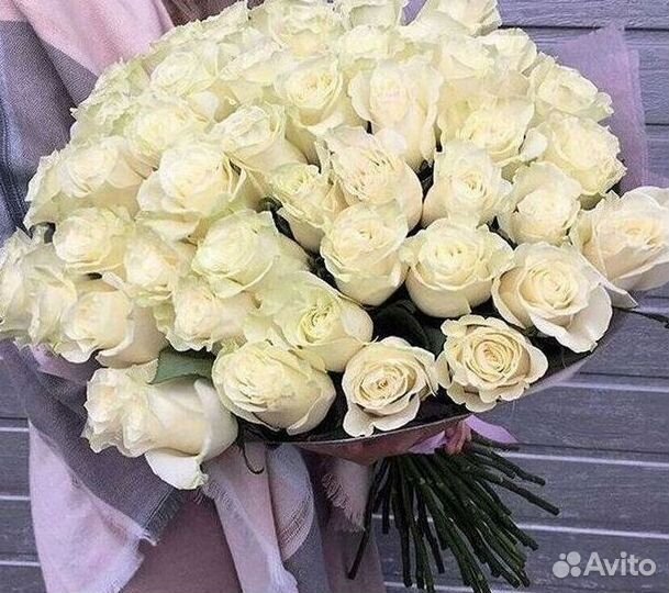 101 роза цветы букеты доставка 25 51 101 роза